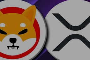 XRP突遭安全漏洞，流失高达SHIB万美元-九游体育入口