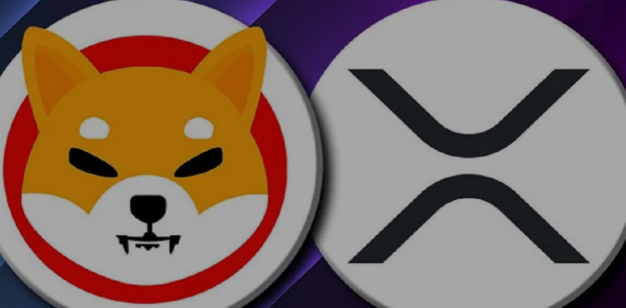 XRP突遭安全漏洞，流失高达SHIB万美元